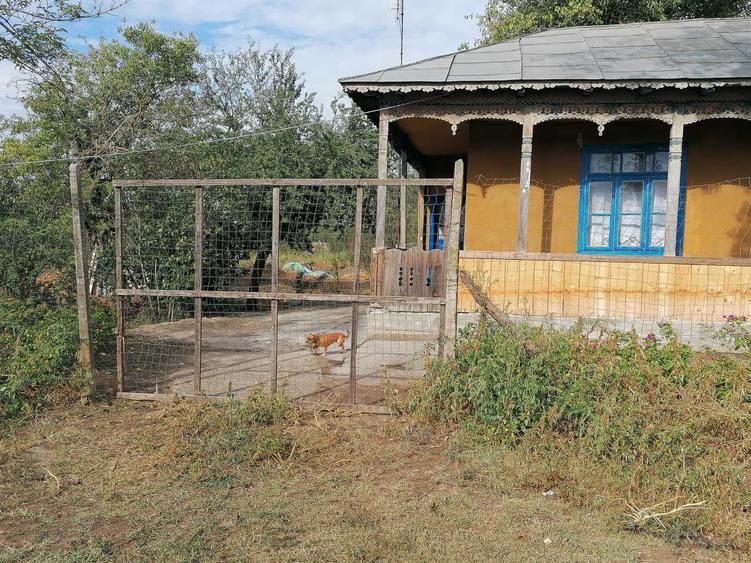 Casă cu 3 camere cu Teren 5000 Mp în Scorțaru Vechi
