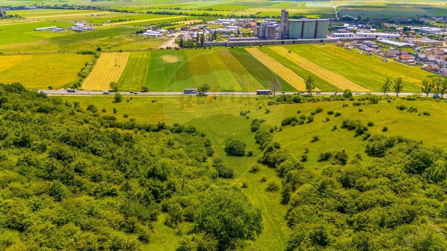 Teren agricol extravilan de 24911 mp, în Nord