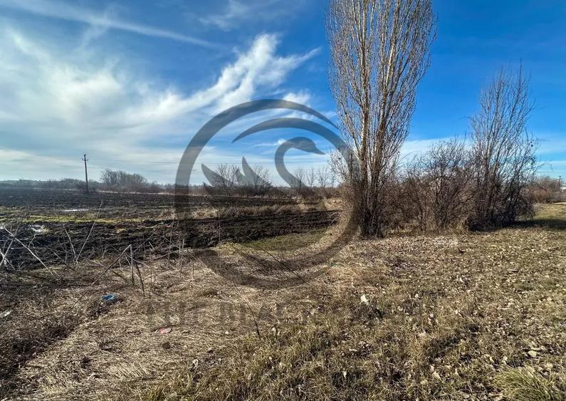 Teren de 10083 mp, în Potigrafu