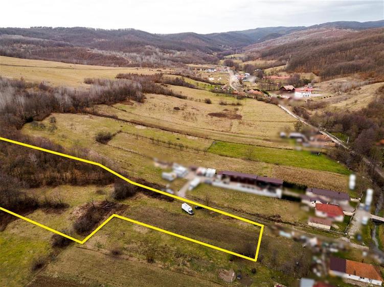 Teren intravilan de 7465 mp, în Peștiș