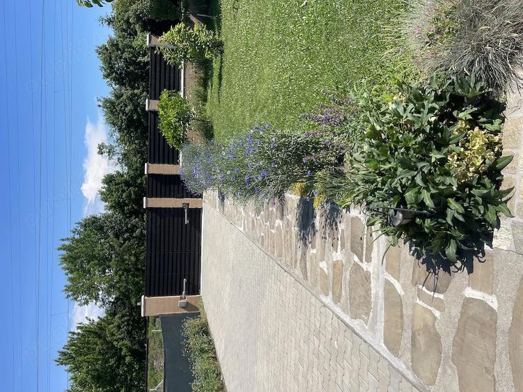 Casă cu Teren 915 Mp în Viișoara