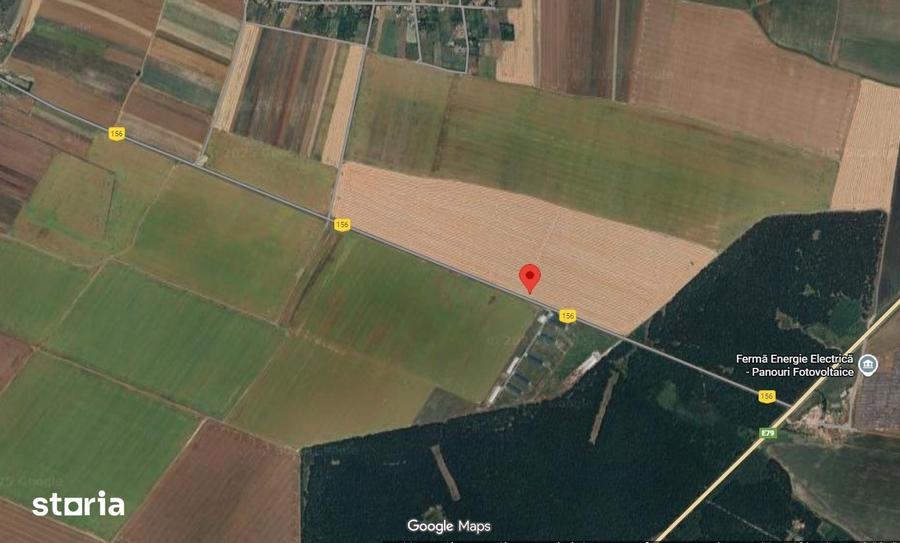 Teren de 2975 mp, în Vârvor