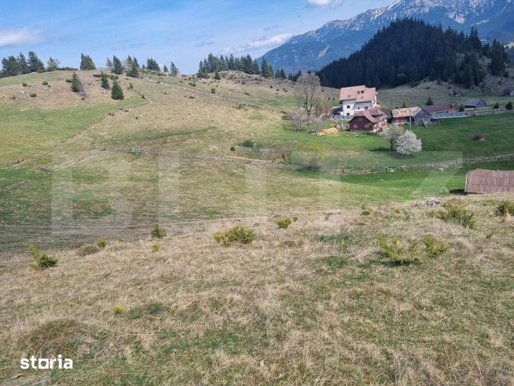 Teren de 16874 mp, în Fundata