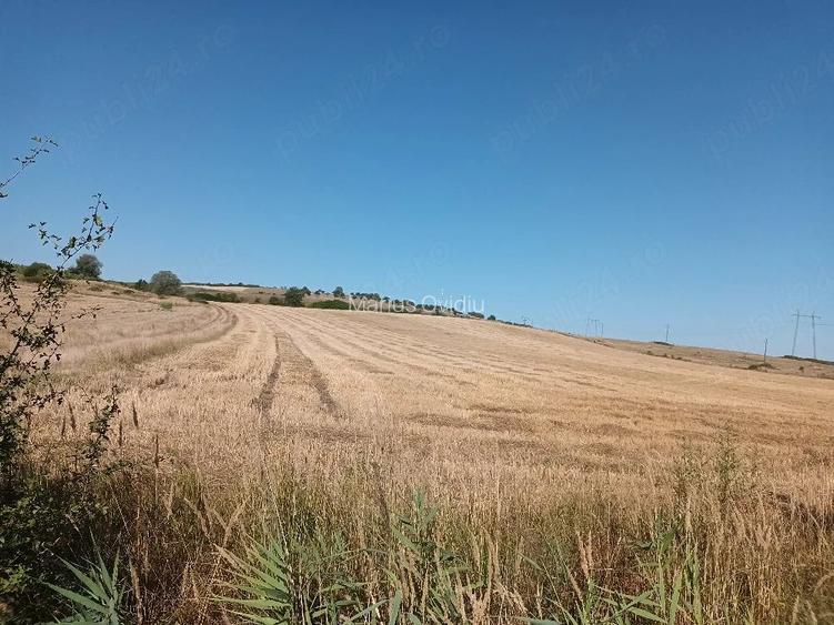 Teren de 32000 mp, în Turmaș