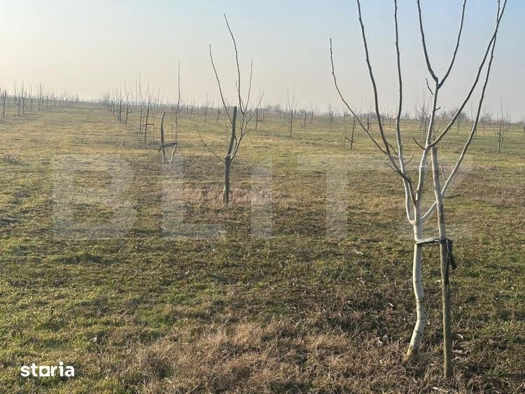 Teren de 405000 mp, în Ivești