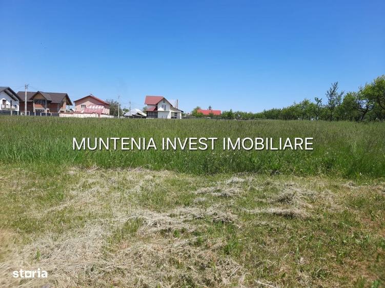 Spațiu comercial, în Albota
