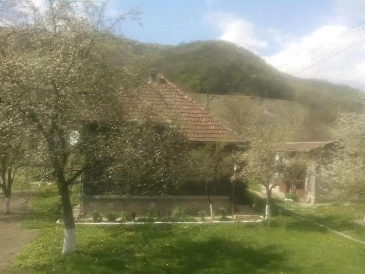 Casă cu 3 camere în Criș