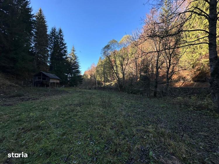 Teren de 2882 mp, în Dâmbovicioara