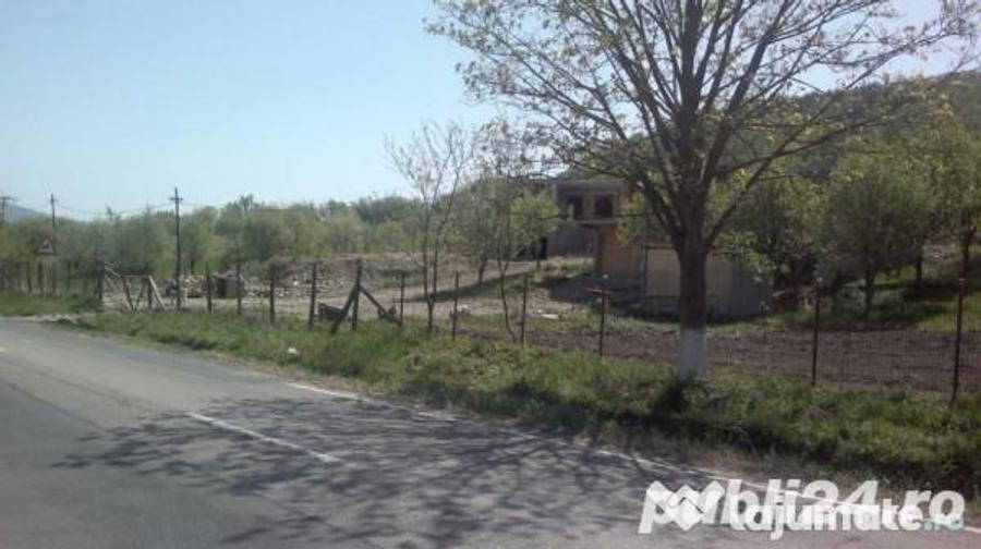 Teren livada 916p in Patarlagele,Buzau cu deschidere de 14m direct la DN10 - 6