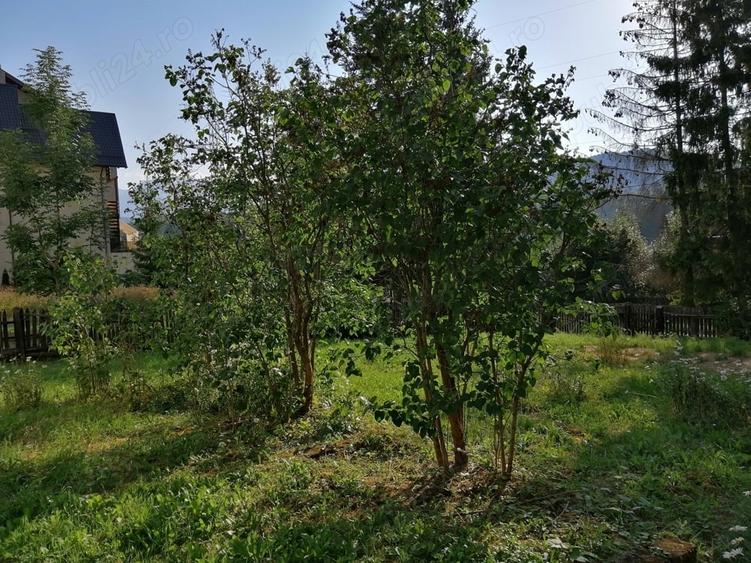 Casă cu 3 camere în Predeal
