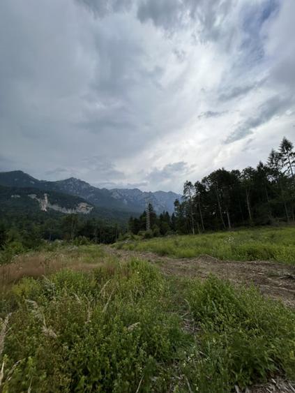 Teren de 1724 mp, în Nord