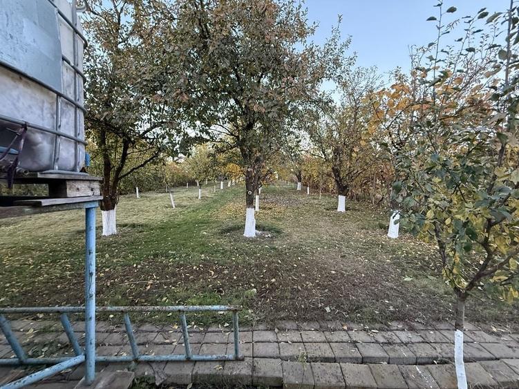 Casă cu 3 camere în Central