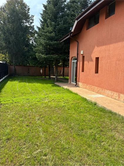 Casă cu Teren 1500 Mp în Afumați