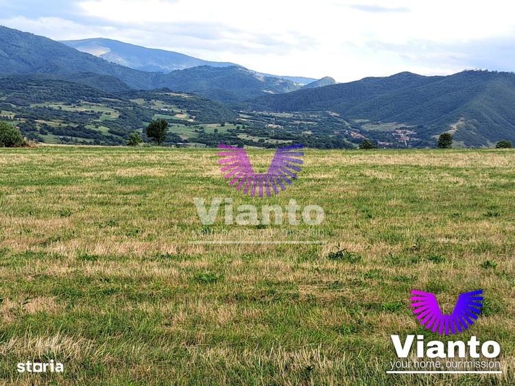 Oportunitate-Teren Extravilan 3100 mp cu vedere Panoramica-Tropinii No - 5