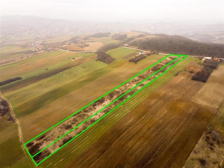 Teren Construcții intravilan de 13041 mp, în Burzuc
