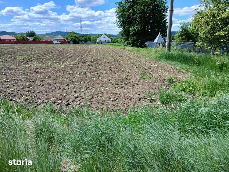 Teren intravilan Racova, Bacau 2.049 mp, deschidere DN15 | 15 /mp - 6