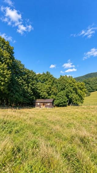 Teren extravilan de 17000 mp, în Prejmer
