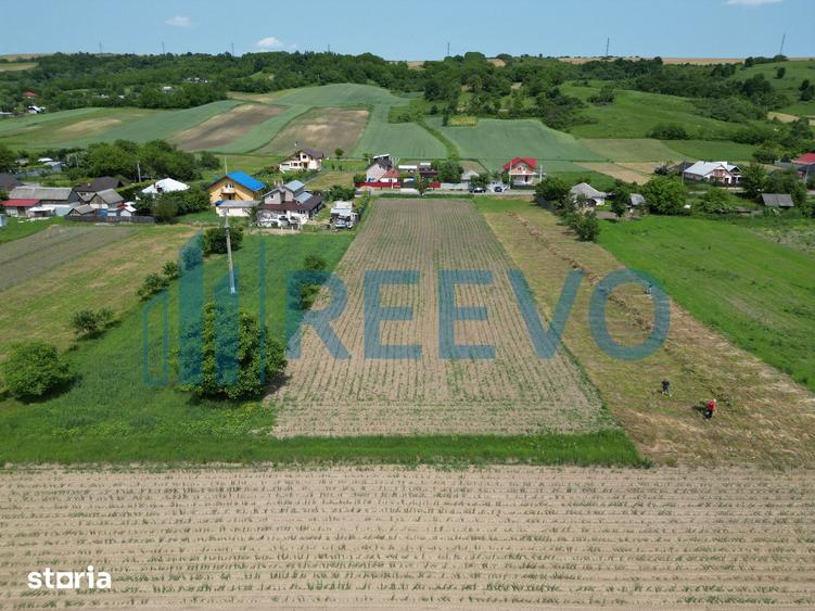Teren de 3043 mp, în Scorțeni
