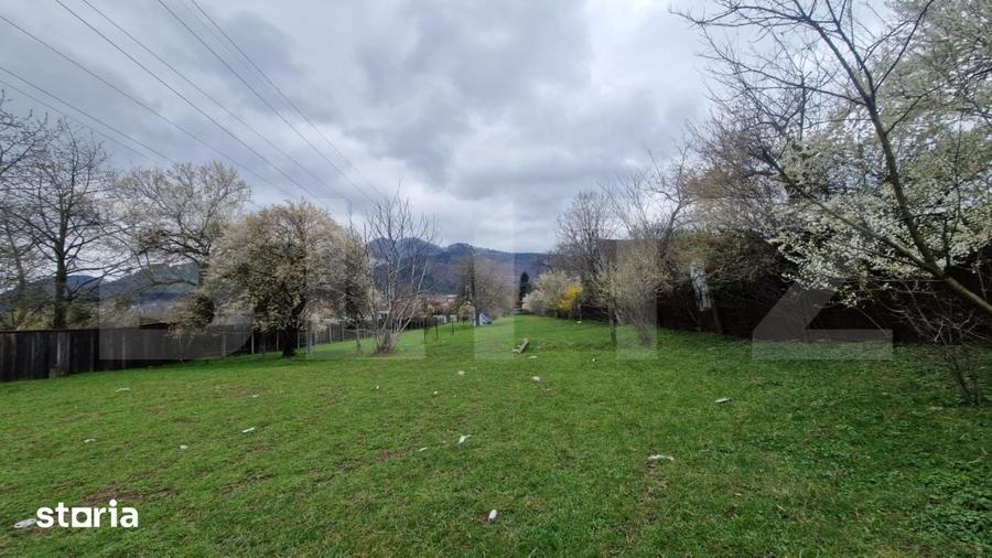 Teren de 4300 mp, în Baciu