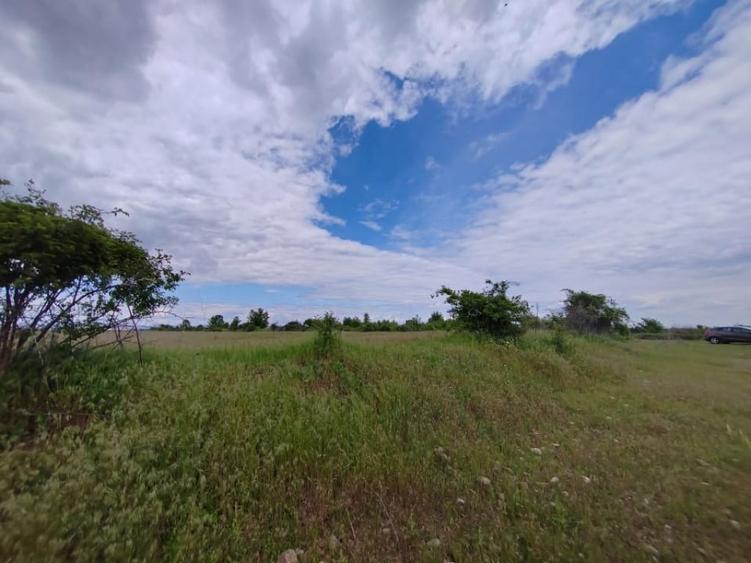 Teren de 114000 mp, în Ariceștii Rahtivani