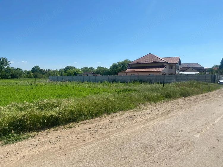 Teren de 600 mp, în Dascălu