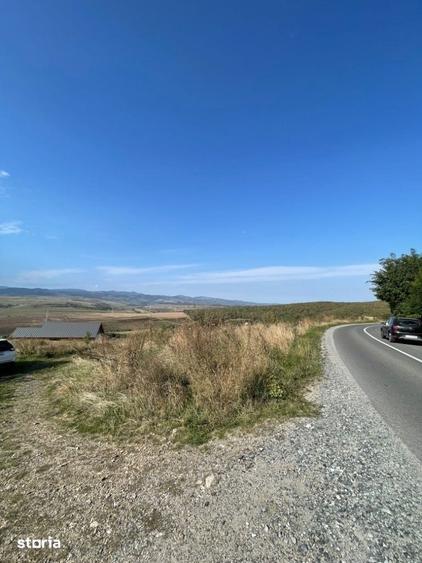 Teren de 2200 mp, în Ciurila