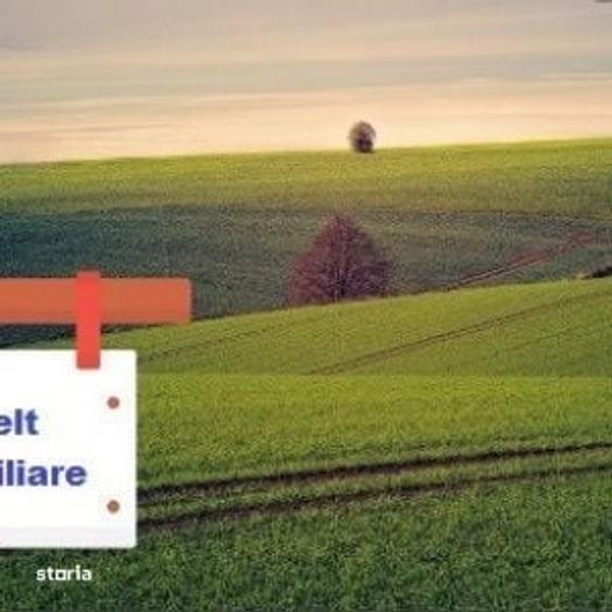 Spațiu comercial, în Chinteni