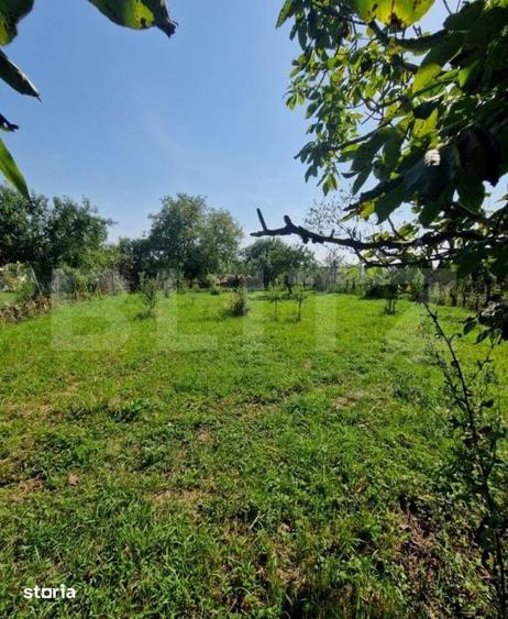 Casă cu 2 camere decomandat cu Teren 1600 Mp în Uriu