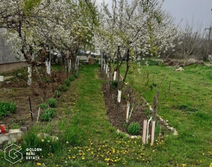 Duplex parter, cu gradina si mini livada - 2