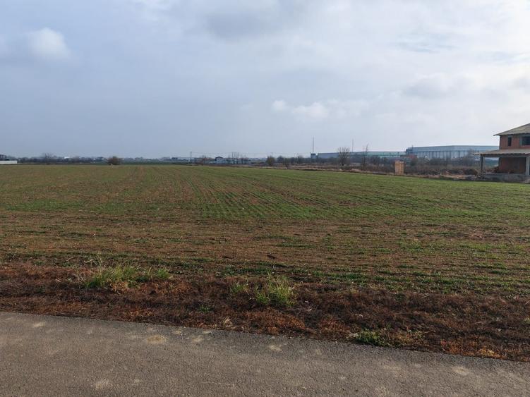 Teren Construcții intravilan de 31200 mp, în Dragomirești-Vale