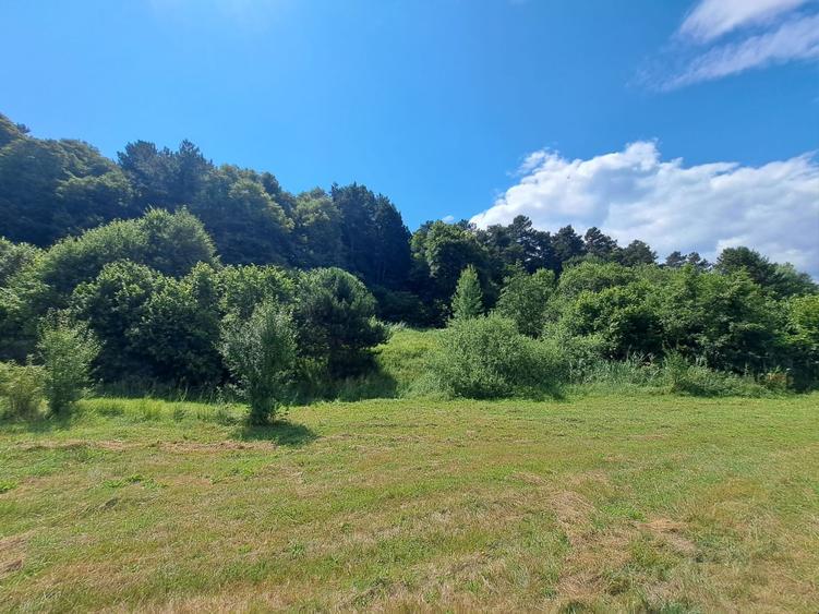 Teren Construcții intravilan de 4000 mp, în Feleacu