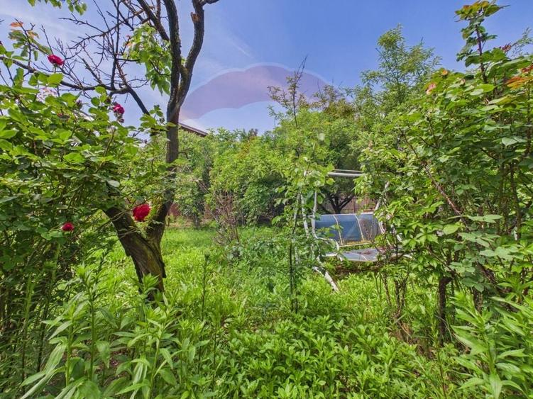 Casă 65 mp + teren 4000 mp, livadă, Butimanu - 24