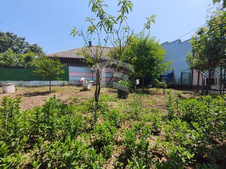 Casă individuală cu 5 camere cu Canalizare în Poiana