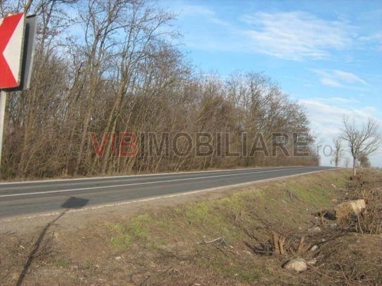 Teren de 61830 mp, în Belciugatele