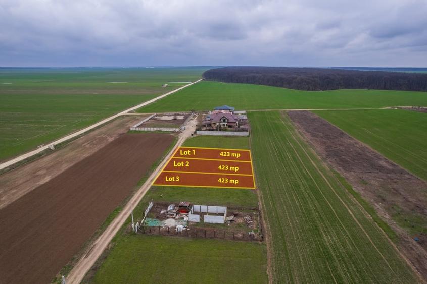 Teren Construcții intravilan de 423 mp, în Frumușani