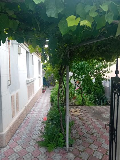 Casă cu 4 camere în Costi