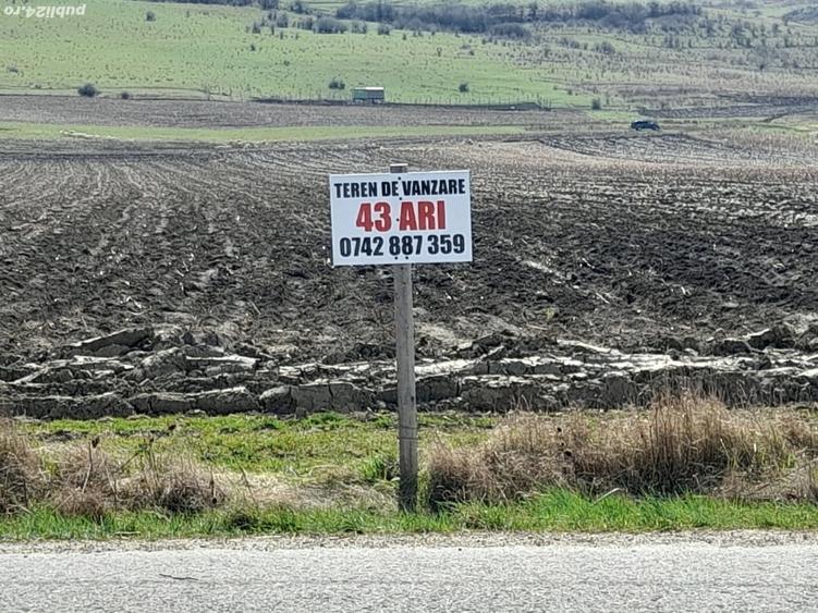 Teren de 4300 mp, în Arcalia