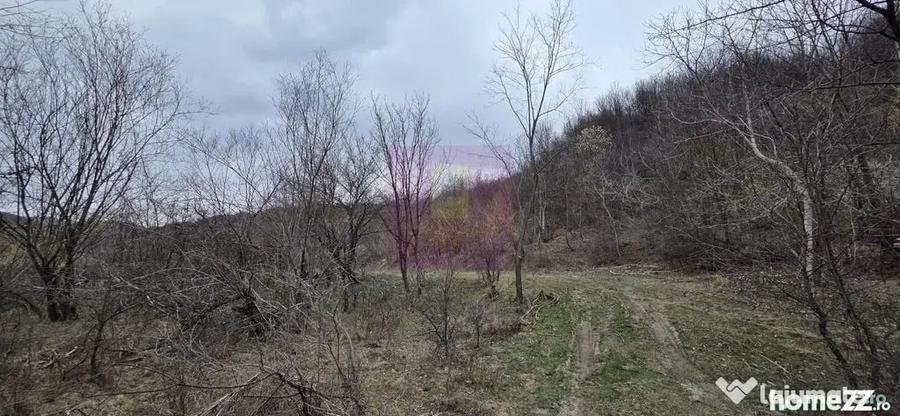 Teren de vanzare in Brebu - Raul Doftana - 1