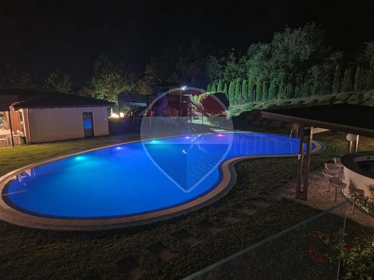 Casă individuală cu 10 camere cu Piscina în Făget