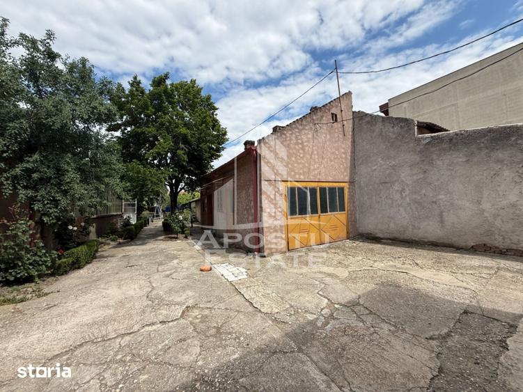 Casă cu 8 camere cu Teren 1126 Mp în Iosefin