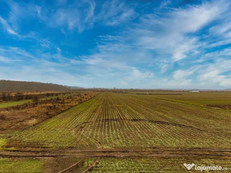 Teren în Săbăreni