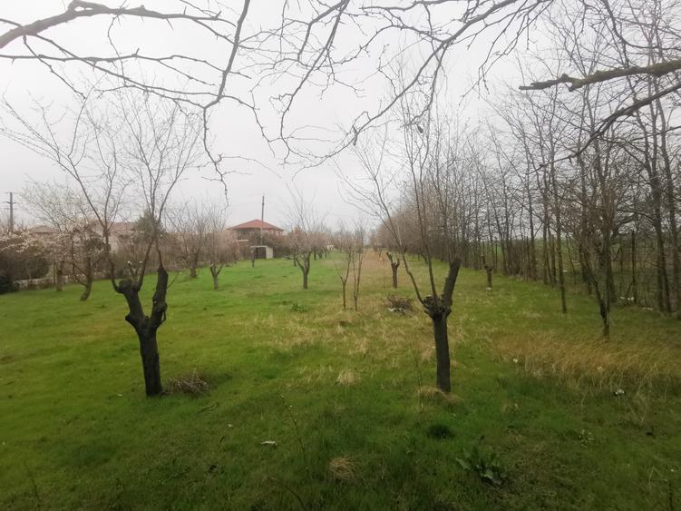 Teren Construcții intravilan de 4350 mp, în Techirghiol