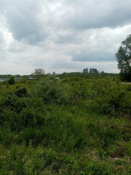 Teren Construcții intravilan de 3356 mp, în Răzvad