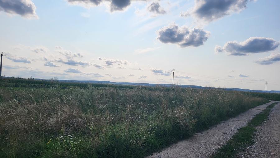 Teren Construcții intravilan de 600 mp, în Curtești