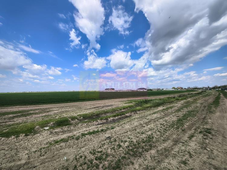 Teren Construcții intravilan de 12450 mp, în Poșta
