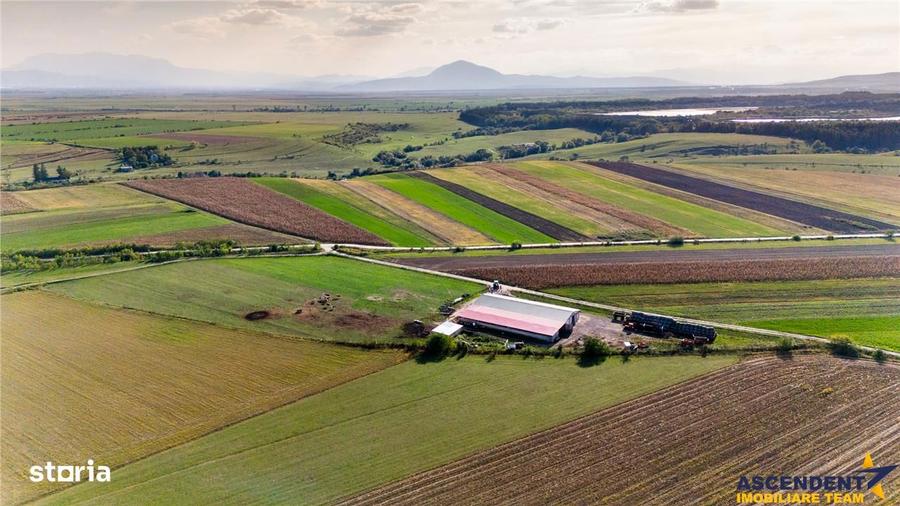 Teren de 18000 mp, în Feldioara