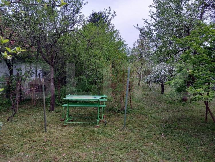 Teren Construcții intravilan de 600 mp, în Bercu Roșu