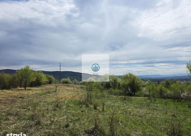Teren agricol extravilan de 6704 mp, în Hărău