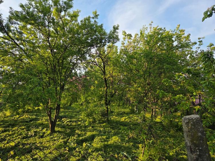 Casă individuală cu 4 camere cu Teren 1100 Mp în Central