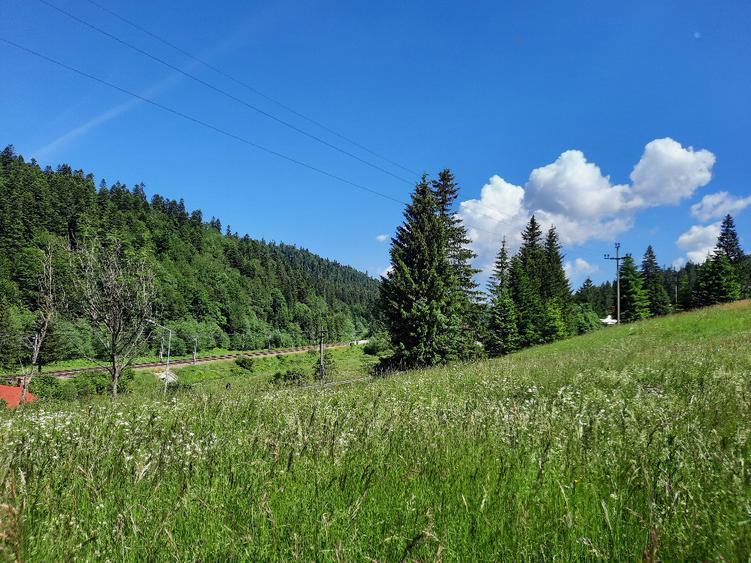 Teren de 3836 mp, în Malul Ursului